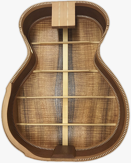 custom guitar back